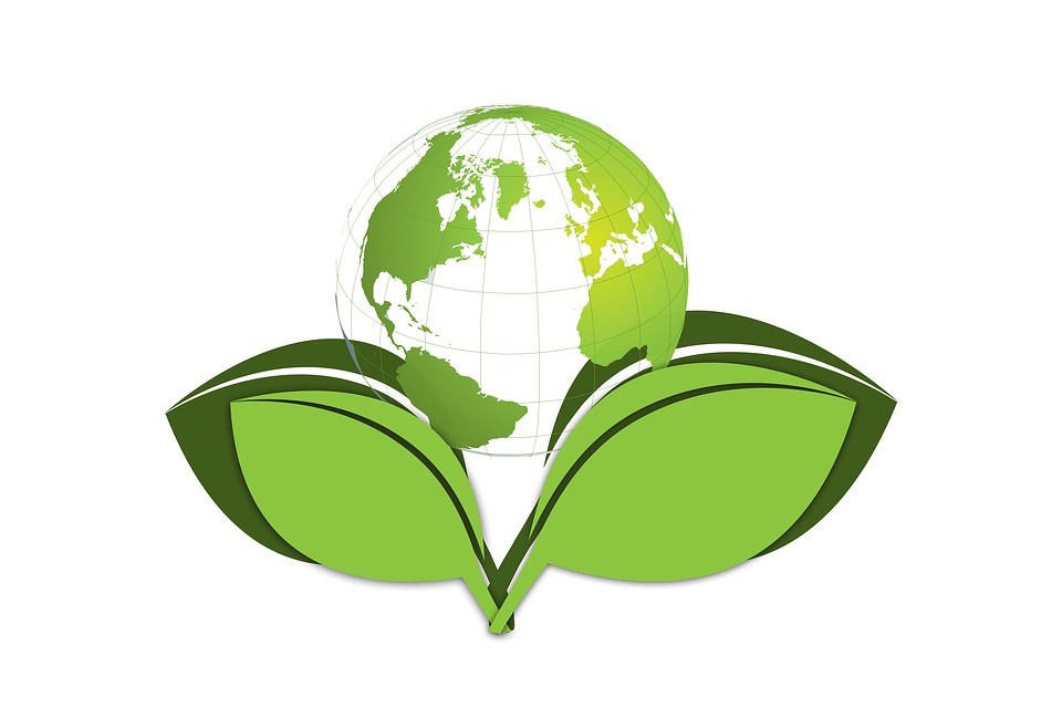 Il Green deal europeo diventa legge, verso emissioni ‘zero’ entro il 2050