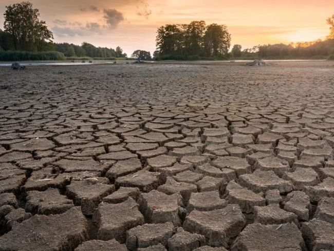 Scaristà di acqua e surriscaldamento climatico