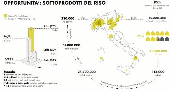 Opportunità offerte dalla coltivazione del riso