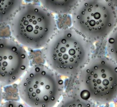 Gocce microscopiche di cristalli liquidi, applicazioni per il fotovoltaico 1