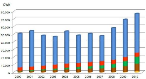 GSE: nel 2010 le rinnovabili hanno soddisfatto il 12,5% della domanda energetica europea 1