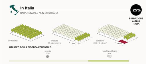 Ri-Generazione Legno 2