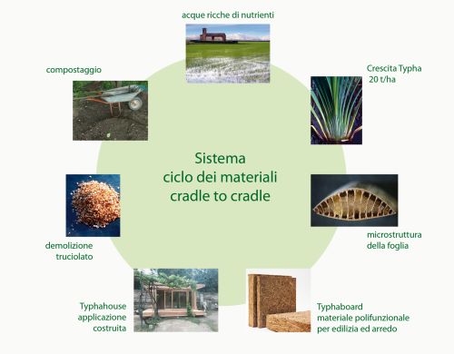 TYPHA, materiale altamente termoisolante per la bioedilizia 1