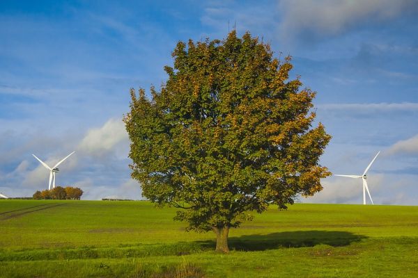 Il revamping eolico per far ripartire il settore 1