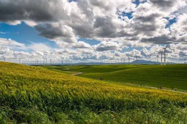 Entro domani le domande di contributo per le rinnovabili non fotovoltaiche 1