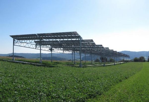 Fotovoltaico e fotosintesi, al via l’impianto pilota sul Lago di Costanza 1