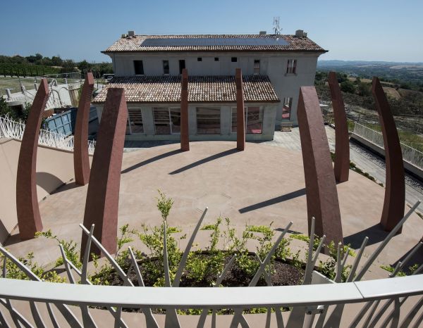 Azienda vinicola biodinamica Tenuta Mara 1