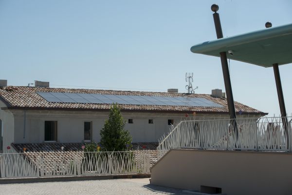 Azienda vinicola biodinamica Tenuta Mara 7