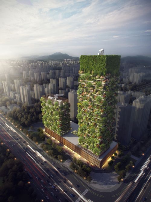 Il Bosco Verticale in Cina prende vita 1