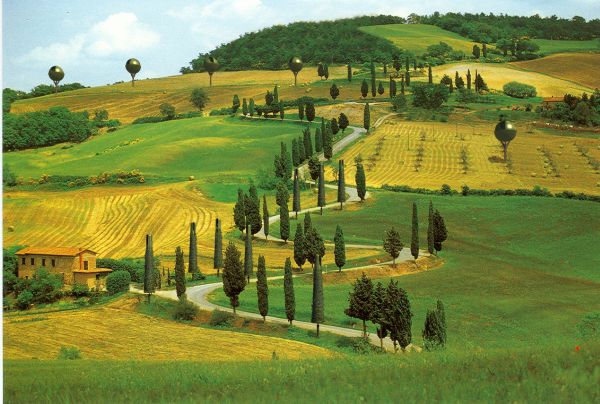 Un albero naturale per l'energia fotovoltaica, eolica e idrica 2