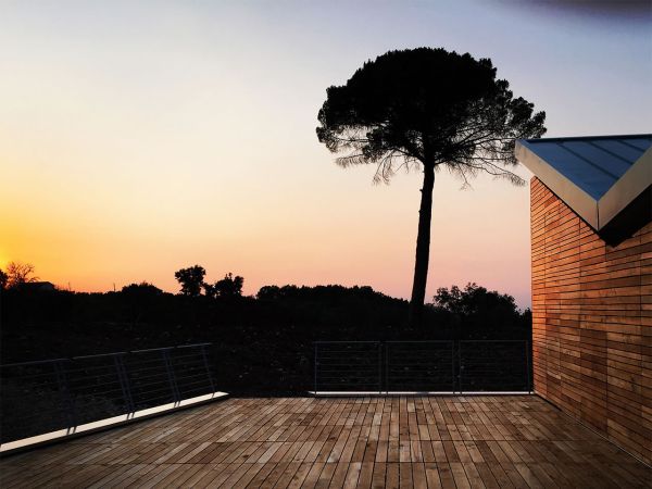 Cantina Fiorentino, un progetto di bio-architettura in legno 2