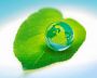Green Economy