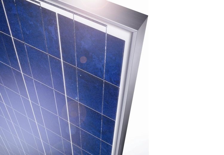 I moduli IBC SOLAR EcoLine convengono anche senza premio “made in Europe”