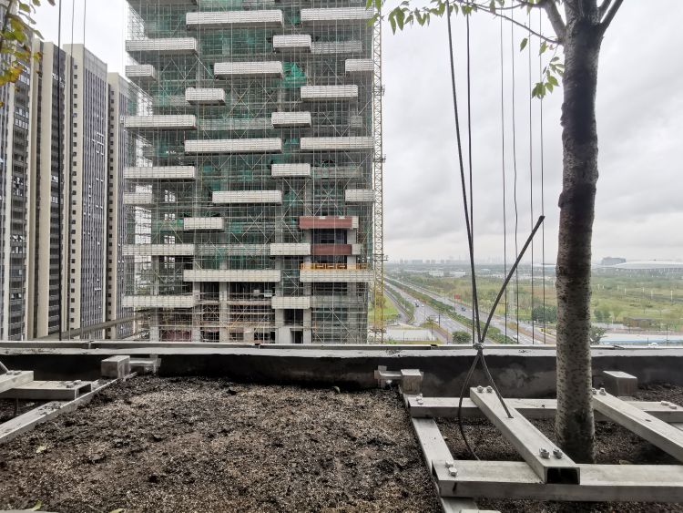 Piantumati i primi alberi nel bosco verticale in Cina di Nanjing e Huanggang 