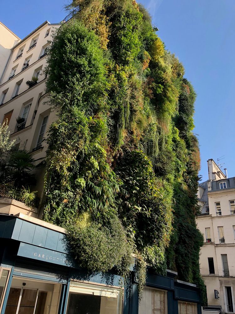 Green wall: facciata verde dell’Oasis d’Aboukir a Parigi 