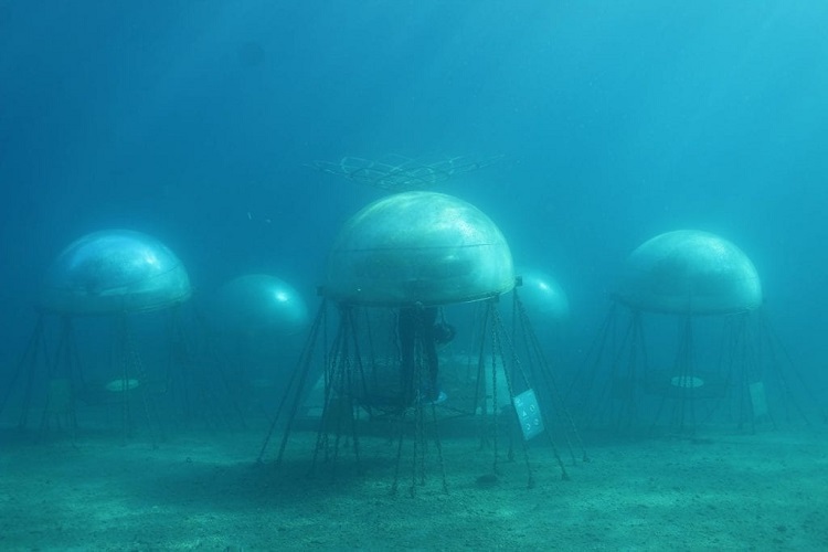 Coltivazioni subacquee in biosfere: la sfida del Giardino di Nemo