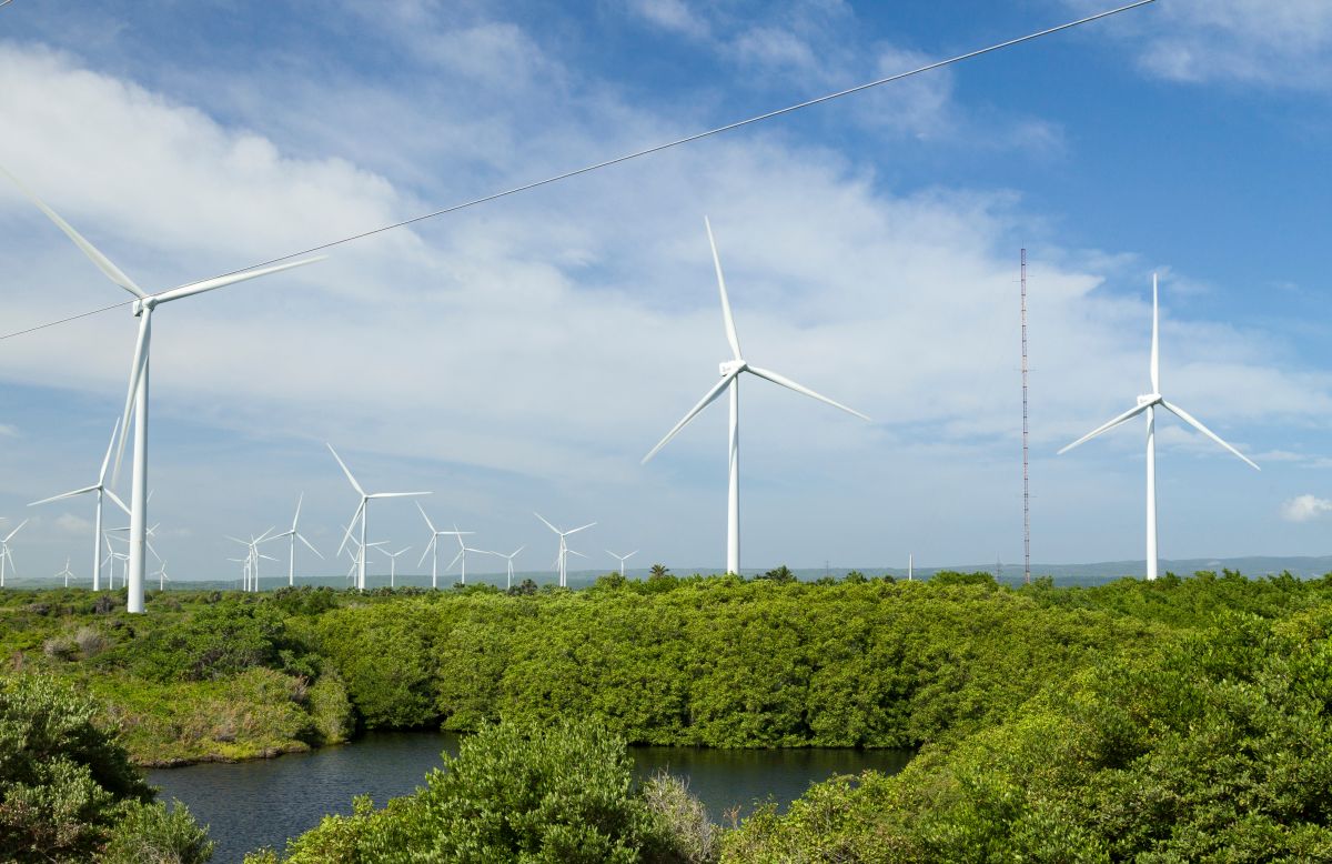 Pale eoliche: energia green per salvare il pianeta