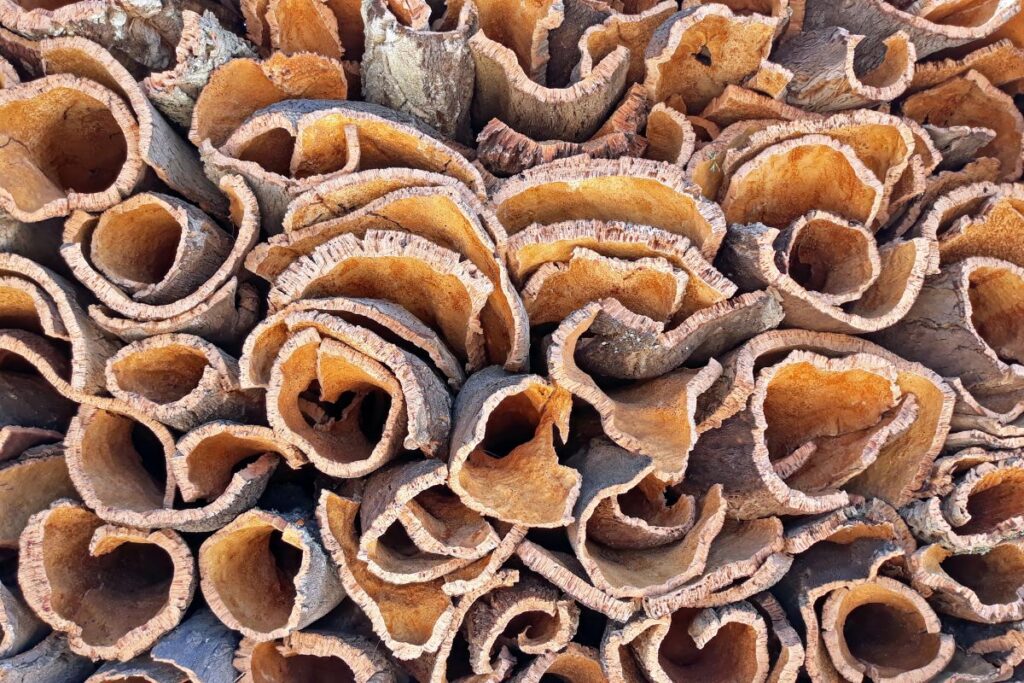 Sughero: un materiale naturale dai molti vantaggi per l’architettura sostenibile