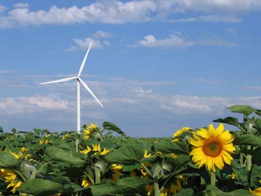 A Parma un bando per le agroenergie da rinnovabili