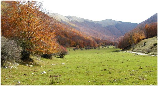 UNCEM ed Enel insieme per lo sviluppo dell'efficienza energetica 9