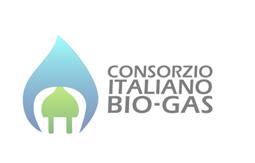 Prospettive su biogas e biometano in Italia e in Europa