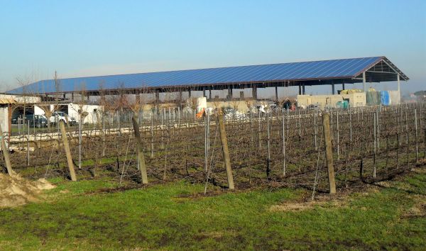 Un impianto fotovoltaico Conergy per una società agricola