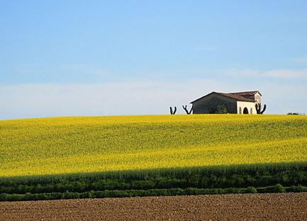 Corso di formazione su biogas