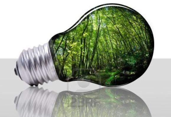 Ecolamp