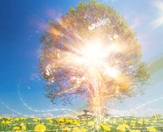 Agroenergia