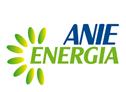 Anie energia: chiarezza normativa per i sistemi di accumulo
