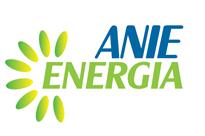 Incontri Anie Energia per promuovere l’efficienza energetica nell’industria