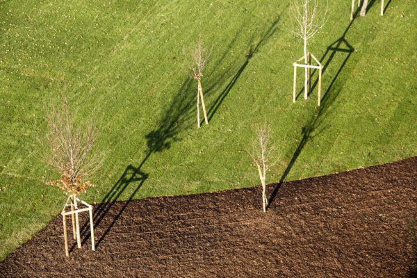 Parco sostenibile nel quartiere City Life