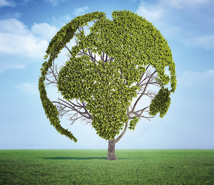 Il futuro dell’energia all’Italian Energy Summit 2014