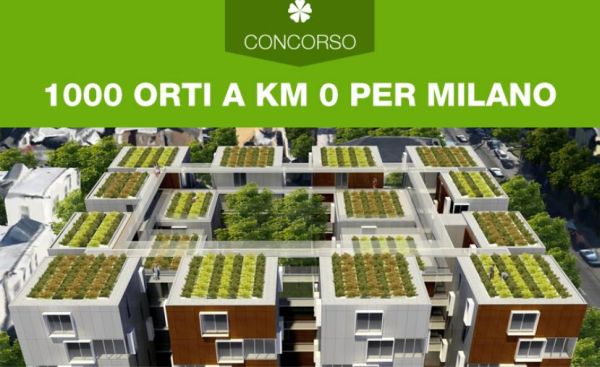 Progettazione di orti urbani su lastrici solari e terrazzi di Milano