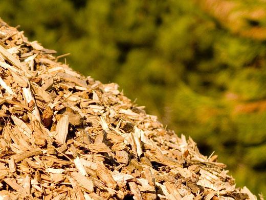 Detrazione 50% per le caldaie a biomasse nelle ristrutturazioni edilizie senza demolizione