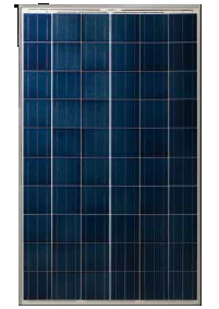 Moduolo Solsonica Silver Plus Poly distribuito da AS Solar