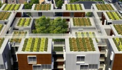 Il verde pensile urbano e gli orti su tetto, un seminario a Milano