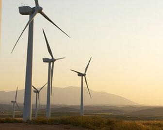 Executive Energy Management
