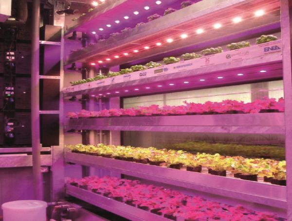 La Vertical Farm per un uso efficente delle risorse