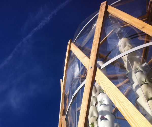 Vertical farm zero emissioni in aree urbane