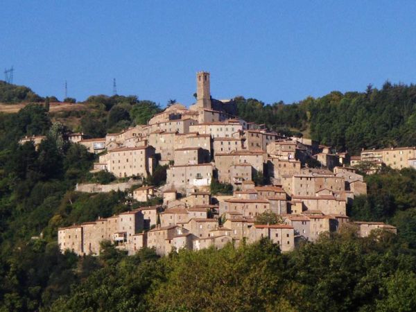 In Toscana il primo impianto al mondo che integra geotermia e biomassa