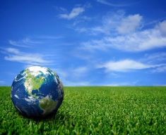 Green practices e sostenibilità ambientale come chiave per il successo