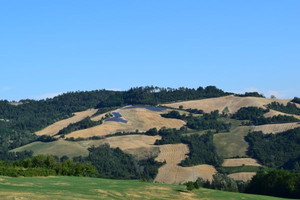 Impianto fotovoltaico a terra per dare energia a un’azienda agricola