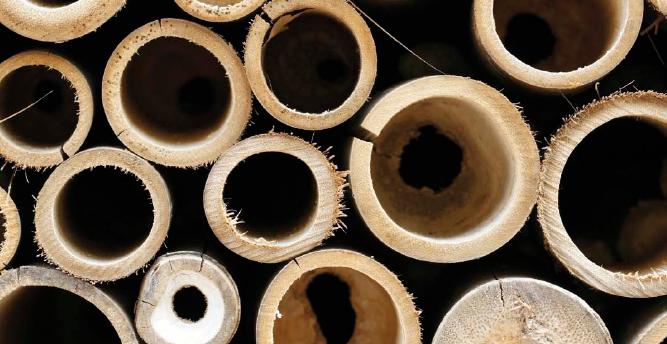Case di bambù per un’edilizia sostenibile nei paesi tropicali