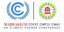 La COP22 si impegna per il futuro di clima e ambiente