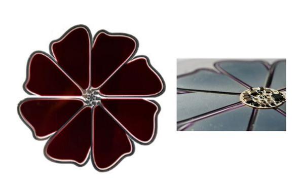 Nuove opportunità per il fotovoltaico organico