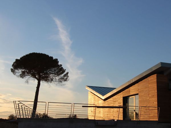 Cantina Fiorentino, un progetto di bio-architettura in legno