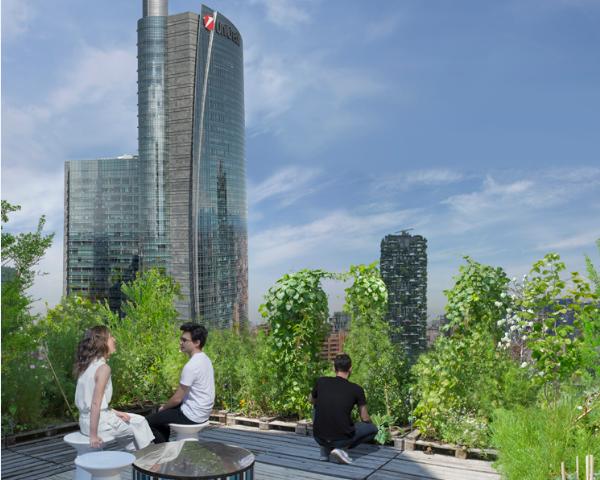 Piazza Gae Aulenti: il belvedere si tinge di green