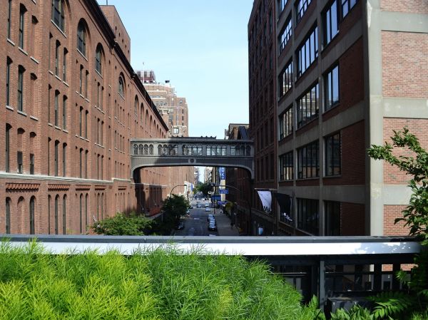 New York City High Line: come si (ri) costruiscono città eque e sostenibili