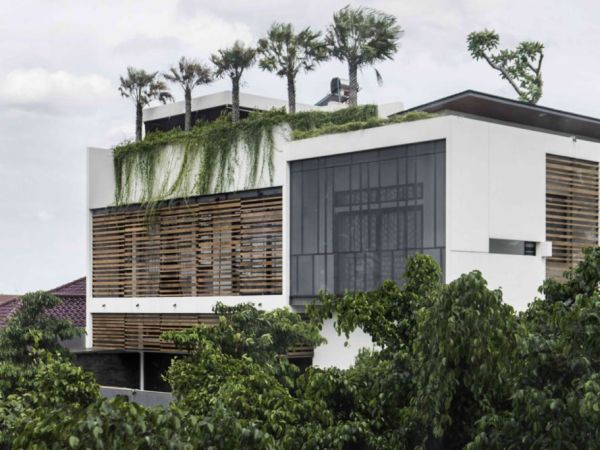 La casa green che mantiene fresca la temperatura interna